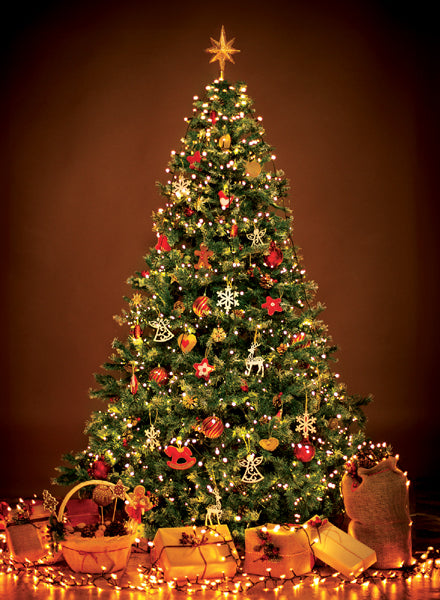 Festive Christmas Card Pack