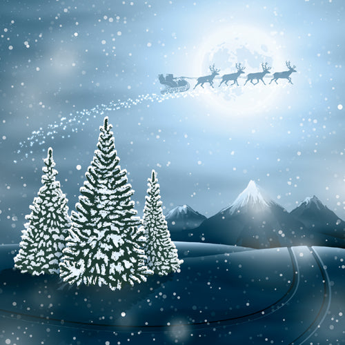 Moon Lit Landscape Christmas Card Pack