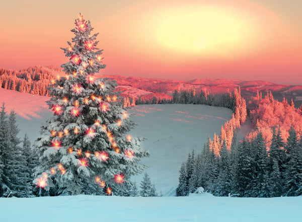 Frosty Forest Christmas Card Pack