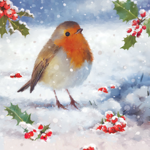 Christmas Robin Christmas Card Pack